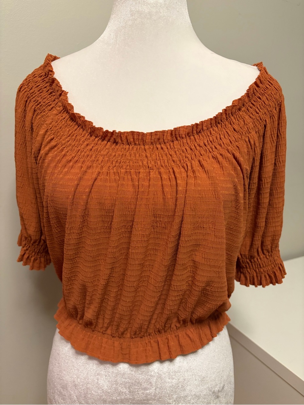 ZARA Burnt Orange Off-The-Shoulder Smocked Crop Top Size‎ Small